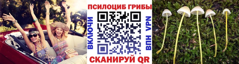 Галлюциногенные грибы Magic Shrooms  Верхотурье 
